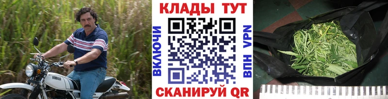 Виды наркоты Биробиджан Cocaine  А ПВП  Псилоцибиновые грибы  МЕФ  ГАШ 