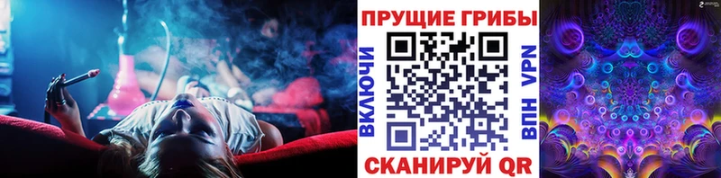 kraken tor  Биробиджан  Псилоцибиновые грибы мухоморы 